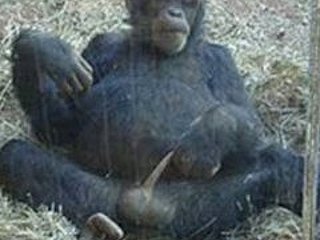 X定格小人