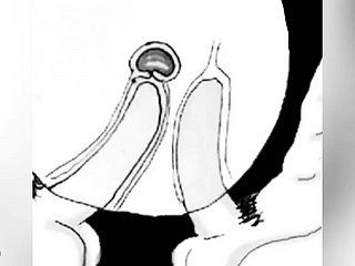私はあなたのお尻に精液をして妊娠しません-Comic Boru Sumi
