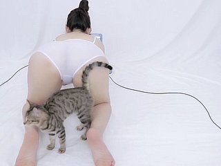 Chinesischer Uncover ASMR