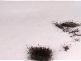 Yo - Coño afeitado 2