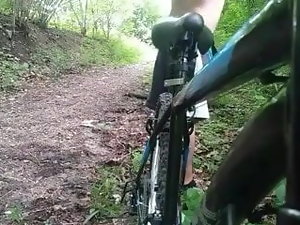 Dans les bois