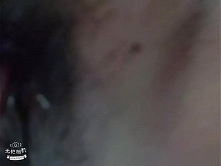 ایشیائی بلی