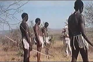 African riesige Penissen! Echte Safari!
