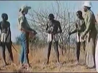 MAXI COCKS AFRIKANEN